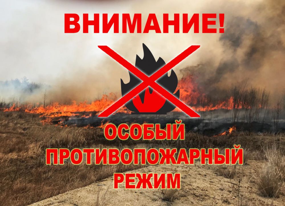 С 28 апреля в Ростовской области будет установлен особый противопожарный режим